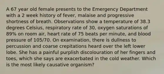 A 67 year old female presents to the Emergency Department with a 2 week history of fever, malaise and progressive shortness of breath. Observations show a temperature of 38.3 degrees Celsius, respiratory rate of 30, oxygen saturations of 89% on room air, heart rate of 75 beats per minute, and blood pressure of 105/70. On examination, there is dullness to percussion and coarse crepitations heard over the left lower lobe. She has a painful purplish discolouration of her fingers and toes, which she says are exacerbated in the cold weather. Which is the most likely causative organism?