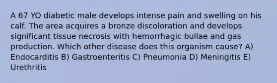 A 67 YO diabetic male develops intense pain and swelling on his calf. The area acquires a bronze discoloration and develops significant tissue necrosis with hemorrhagic bullae and gas production. Which other disease does this organism cause? A) Endocarditis B) Gastroenteritis C) Pneumonia D) Meningitis E) Urethritis