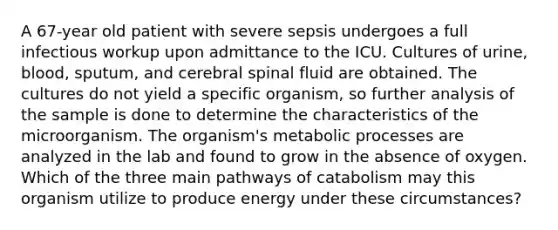 A 67-year old patient with severe sepsis undergoes a full infectious workup upon admittance to the ICU. Cultures of urine, blood, sputum, and cerebral spinal fluid are obtained. The cultures do not yield a specific organism, so further analysis of the sample is done to determine the characteristics of the microorganism. The organism's metabolic processes are analyzed in the lab and found to grow in the absence of oxygen. Which of the three main pathways of catabolism may this organism utilize to produce energy under these circumstances?