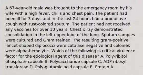 A 67-year-old male was brought to the emergency room by his wife with a high fever, chills and chest pain. The patient had been ill for 3 days and in the last 24 hours had a productive cough with rust-colored sputum. The patient had not received any vaccines for over 10 years. Chest x-ray demonstrated consolidation in the left upper lobe of the lung. Sputum samples were cultured and Gram stained. The resulting gram-positive, lancet-shaped diplococci were catalase negative and colonies were alpha-hemolytic. Which of the following is critical virulence factor for the etiological agent of this disease? A. Poly-ribitol phosphate capsule B. Polysaccharide capsule C. ADP-ribosyl transferase D. Poly-glutamic acid capsule E. Protein A