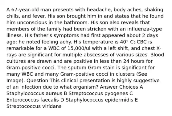 A 67-year-old man presents with headache, body aches, shaking chills, and fever. His son brought him in and states that he found him unconscious in the bathroom. His son also reveals that members of the family had been stricken with an influenza-type illness. His father's symptoms had first appeared about 2 days ago; he noted feeling achy. His temperature is 40° C; CBC is remarkable for a WBC of 15,000/ul with a left shift, and chest X-rays are significant for multiple abscesses of various sizes. Blood cultures are drawn and are positive in less than 24 hours for Gram-positive cocci. The sputum Gram stain is significant for many WBC and many Gram-positive cocci in clusters (See Image). Question This clinical presentation is highly suggestive of an infection due to what organism? Answer Choices A Staphylococcus aureus B Streptococcus pyogenes C Enterococcus faecalis D Staphylococcus epidermidis E Streptococcus viridans