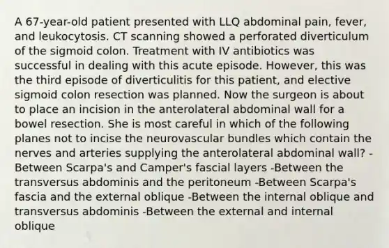 A 67-year-old patient presented with LLQ abdominal pain, fever, and leukocytosis. CT scanning showed a perforated diverticulum of the sigmoid colon. Treatment with IV antibiotics was successful in dealing with this acute episode. However, this was the third episode of diverticulitis for this patient, and elective sigmoid colon resection was planned. Now the surgeon is about to place an incision in the anterolateral abdominal wall for a bowel resection. She is most careful in which of the following planes not to incise the neurovascular bundles which contain the nerves and arteries supplying the anterolateral abdominal wall? -Between Scarpa's and Camper's fascial layers -Between the transversus abdominis and the peritoneum -Between Scarpa's fascia and the external oblique -Between the internal oblique and transversus abdominis -Between the external and internal oblique