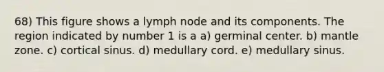 68) This figure shows a lymph node and its components. The region indicated by number 1 is a a) germinal center. b) mantle zone. c) cortical sinus. d) medullary cord. e) medullary sinus.