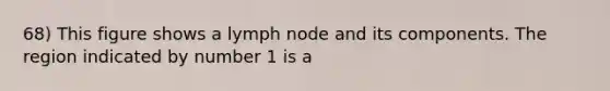 68) This figure shows a lymph node and its components. The region indicated by number 1 is a