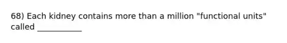 68) Each kidney contains <a href='https://www.questionai.com/knowledge/keWHlEPx42-more-than' class='anchor-knowledge'>more than</a> a million "functional units" called ___________
