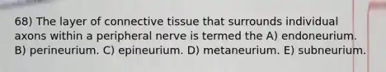 68) The layer of <a href='https://www.questionai.com/knowledge/kYDr0DHyc8-connective-tissue' class='anchor-knowledge'>connective tissue</a> that surrounds individual axons within a peripheral nerve is termed the A) endoneurium. B) perineurium. C) epineurium. D) metaneurium. E) subneurium.