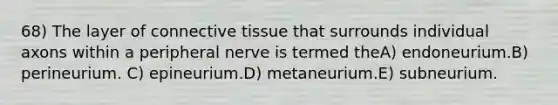 68) The layer of <a href='https://www.questionai.com/knowledge/kYDr0DHyc8-connective-tissue' class='anchor-knowledge'>connective tissue</a> that surrounds individual axons within a peripheral nerve is termed theA) endoneurium.B) perineurium. C) epineurium.D) metaneurium.E) subneurium.