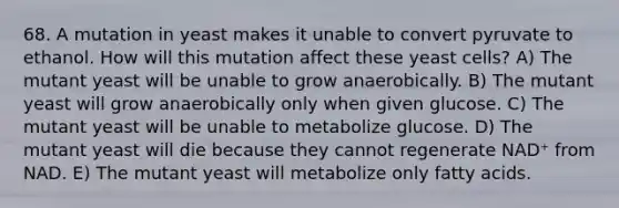 68. A mutation in yeast makes it unable to convert pyruvate to ethanol. How will this mutation affect these yeast cells? A) The mutant yeast will be unable to grow anaerobically. B) The mutant yeast will grow anaerobically only when given glucose. C) The mutant yeast will be unable to metabolize glucose. D) The mutant yeast will die because they cannot regenerate NAD⁺ from NAD. E) The mutant yeast will metabolize only fatty acids.