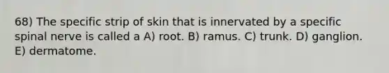 68) The specific strip of skin that is innervated by a specific spinal nerve is called a A) root. B) ramus. C) trunk. D) ganglion. E) dermatome.