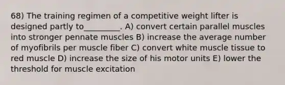 68) The training regimen of a competitive weight lifter is designed partly to_________. A) convert certain parallel muscles into stronger pennate muscles B) increase the average number of myofibrils per muscle fiber C) convert white <a href='https://www.questionai.com/knowledge/kMDq0yZc0j-muscle-tissue' class='anchor-knowledge'>muscle tissue</a> to red muscle D) increase the size of his motor units E) lower the threshold for muscle excitation