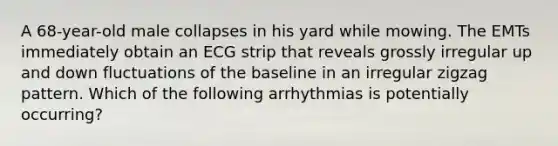 A 68-year-old male collapses in his yard while mowing. The EMTs immediately obtain an ECG strip that reveals grossly irregular up and down fluctuations of the baseline in an irregular zigzag pattern. Which of the following arrhythmias is potentially occurring?