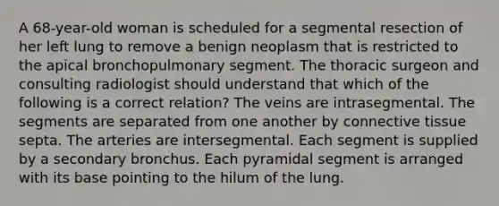 A 68-year-old woman is scheduled for a segmental resection of her left lung to remove a benign neoplasm that is restricted to the apical bronchopulmonary segment. The thoracic surgeon and consulting radiologist should understand that which of the following is a correct relation? The veins are intrasegmental. The segments are separated from one another by connective tissue septa. The arteries are intersegmental. Each segment is supplied by a secondary bronchus. Each pyramidal segment is arranged with its base pointing to the hilum of the lung.