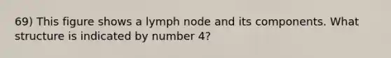 69) This figure shows a lymph node and its components. What structure is indicated by number 4?