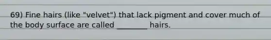 69) Fine hairs (like "velvet") that lack pigment and cover much of the body surface are called ________ hairs.