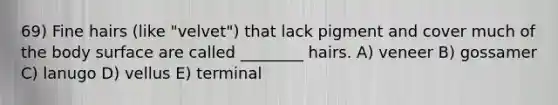 69) Fine hairs (like "velvet") that lack pigment and cover much of the body surface are called ________ hairs. A) veneer B) gossamer C) lanugo D) vellus E) terminal