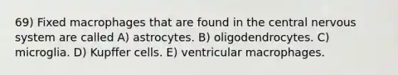 69) Fixed macrophages that are found in the central <a href='https://www.questionai.com/knowledge/kThdVqrsqy-nervous-system' class='anchor-knowledge'>nervous system</a> are called A) astrocytes. B) oligodendrocytes. C) microglia. D) Kupffer cells. E) ventricular macrophages.