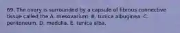 69. The ovary is surrounded by a capsule of fibrous connective tissue called the A. mesovarium. B. tunica albuginea. C. peritoneum. D. medulla. E. tunica alba.