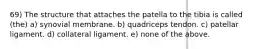 69) The structure that attaches the patella to the tibia is called (the) a) synovial membrane. b) quadriceps tendon. c) patellar ligament. d) collateral ligament. e) none of the above.