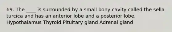 69. The ____ is surrounded by a small bony cavity called the sella turcica and has an anterior lobe and a posterior lobe. Hypothalamus Thyroid Pituitary gland Adrenal gland
