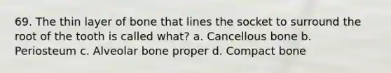 69. The thin layer of bone that lines the socket to surround the root of the tooth is called what? a. Cancellous bone b. Periosteum c. Alveolar bone proper d. Compact bone