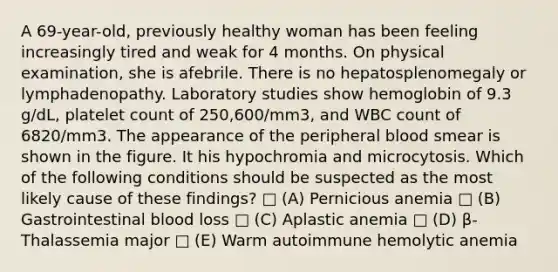 A 69-year-old, previously healthy woman has been feeling increasingly tired and weak for 4 months. On physical examination, she is afebrile. There is no hepatosplenomegaly or lymphadenopathy. Laboratory studies show hemoglobin of 9.3 g/dL, platelet count of 250,600/mm3, and WBC count of 6820/mm3. The appearance of the peripheral blood smear is shown in the figure. It his hypochromia and microcytosis. Which of the following conditions should be suspected as the most likely cause of these findings? □ (A) Pernicious anemia □ (B) Gastrointestinal blood loss □ (C) Aplastic anemia □ (D) β-Thalassemia major □ (E) Warm autoimmune hemolytic anemia