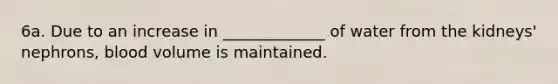 6a. Due to an increase in _____________ of water from the kidneys' nephrons, blood volume is maintained.