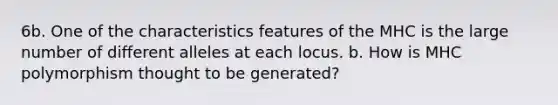 6b. One of the characteristics features of the MHC is the large number of different alleles at each locus. b. How is MHC polymorphism thought to be generated?