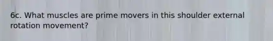 6c. What muscles are prime movers in this shoulder external rotation movement?