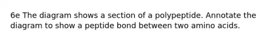 6e The diagram shows a section of a polypeptide. Annotate the diagram to show a peptide bond between two amino acids.