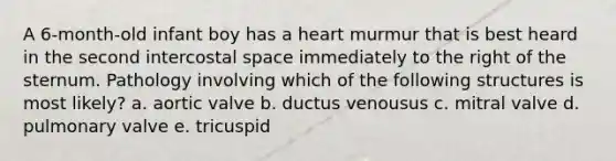 A 6-month-old infant boy has a heart murmur that is best heard in the second intercostal space immediately to the right of the sternum. Pathology involving which of the following structures is most likely? a. aortic valve b. ductus venousus c. mitral valve d. pulmonary valve e. tricuspid