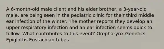 A 6-month-old male client and his elder brother, a 3-year-old male, are being seen in the pediatric clinic for their third middle ear infection of the winter. The mother reports they develop an upper respiratory infection and an ear infection seems quick to follow. What contributes to this event? Oropharynx Genetics Epiglottis Eustachian tubes