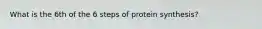 What is the 6th of the 6 steps of protein synthesis?