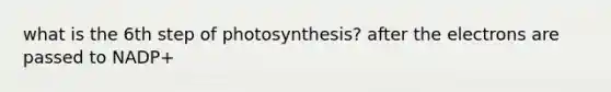 what is the 6th step of photosynthesis? after the electrons are passed to NADP+