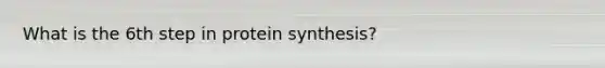 What is the 6th step in protein synthesis?