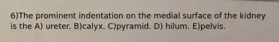 6)The prominent indentation on the medial surface of the kidney is the A) ureter. B)calyx. C)pyramid. D) hilum. E)pelvis.