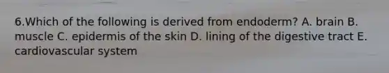 6.Which of the following is derived from endoderm? A. brain B. muscle C. epidermis of the skin D. lining of the digestive tract E. cardiovascular system