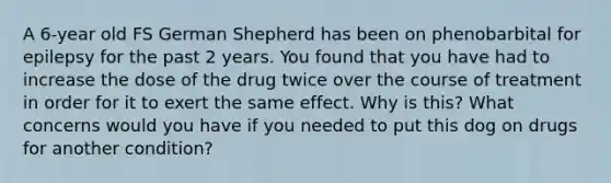 A 6-year old FS German Shepherd has been on phenobarbital for epilepsy for the past 2 years. You found that you have had to increase the dose of the drug twice over the course of treatment in order for it to exert the same effect. Why is this? What concerns would you have if you needed to put this dog on drugs for another condition?