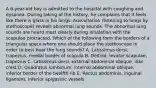 A 6-year-old boy is admitted to the hospital with coughing and dyspnea. During taking of the history, he complains that it feels like there is glass in his lungs. Auscultation (listening to lungs by stethoscope) reveals abnormal lung sounds. The abnormal lung sounds are heard most clearly during inhalation with the scapulae protracted. Which of the following form the borders of a triangular space where one should place the stethoscope in order to best hear the lung sounds? A. Latissimus dorsi, trapezius, medial border of scapula B. Deltoid, levator scapulae, trapezius C. Latissimus dorsi, external abdominal oblique, iliac crest D. Quadratus lumborum, internal abdominal oblique, inferior border of the twelfth rib E. Rectus abdominis, inguinal ligament, inferior epigastric vessels