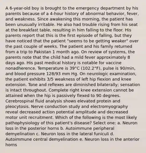 A 6-year-old boy is brought to the emergency department by his parents because of a 4-hour history of abnormal behavior, fever, and weakness. Since awakening this morning, the patient has been unusually irritable. He also had trouble rising from his seat at the breakfast table, resulting in him falling to the floor. His parents report that this is the first episode of falling, but they have noticed that the patient "seems to be getting weaker" over the past couple of weeks. The patient and his family returned from a trip to Pakistan 1 month ago. On review of systems, the parents note that the child had a mild fever approximately 8 days ago. His past medical history is notable for vaccine nonadherence. Temperature is 39°C (102.2°F), pulse is 90/min, and blood pressure 128/93 mm Hg. On neurologic examination, the patient exhibits 3/5 weakness of left hip flexion and knee extension. Tone and reflexes are diminished bilaterally; sensation is intact throughout. Complete right knee extension cannot be attained when the hip is passively flexed to 90 degrees. Cerebrospinal fluid analysis shows elevated protein and pleocytosis. Nerve conduction study and electromyography reveal decreased action potential amplitude and decreased motor unit recruitment. Which of the following is the most likely pathophysiology of this patient's disease? Select one: a. Neuron loss in the posterior horns b. Autoimmune peripheral demyelination c. Neuron loss in the lateral funiculi d. Autoimmune central demyelination e. Neuron loss in the anterior horns