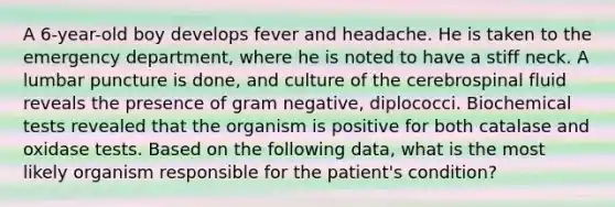 A 6-year-old boy develops fever and headache. He is taken to the emergency department, where he is noted to have a stiff neck. A lumbar puncture is done, and culture of the cerebrospinal fluid reveals the presence of gram negative, diplococci. Biochemical tests revealed that the organism is positive for both catalase and oxidase tests. Based on the following data, what is the most likely organism responsible for the patient's condition?