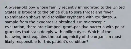 A 6-year-old boy whose family recently immigrated to the United States is brought to the office due to sore throat and fever. Examination shows mild tonsillar erythema with exudates. A sample from the exudates is obtained. On microscopic evaluation, there are clumped, gram-positive bacteria with polar granules that stain deeply with aniline dyes. Which of the following best explains the pathogenicity of the organism most likely responsible for this patient's condition?