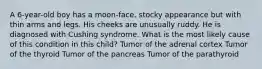 A 6-year-old boy has a moon-face, stocky appearance but with thin arms and legs. His cheeks are unusually ruddy. He is diagnosed with Cushing syndrome. What is the most likely cause of this condition in this child? Tumor of the adrenal cortex Tumor of the thyroid Tumor of the pancreas Tumor of the parathyroid