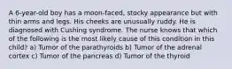 A 6-year-old boy has a moon-faced, stocky appearance but with thin arms and legs. His cheeks are unusually ruddy. He is diagnosed with Cushing syndrome. The nurse knows that which of the following is the most likely cause of this condition in this child? a) Tumor of the parathyroids b) Tumor of the adrenal cortex c) Tumor of the pancreas d) Tumor of the thyroid