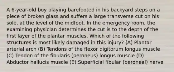 A 6-year-old boy playing barefooted in his backyard steps on a piece of broken glass and suffers a large transverse cut on his sole, at the level of the midfoot. In the emergency room, the examining physician determines the cut is to the depth of the first layer of the plantar muscles. Which of the following structures is most likely damaged in this injury? (A) Plantar arterial arch (B) Tendons of the flexor digitorum longus muscle (C) Tendon of the fibularis (peroneus) longus muscle (D) Abductor hallucis muscle (E) Superficial fibular (peroneal) nerve