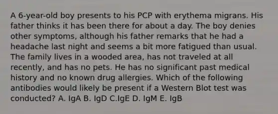 A 6-year-old boy presents to his PCP with erythema migrans. His father thinks it has been there for about a day. The boy denies other symptoms, although his father remarks that he had a headache last night and seems a bit more fatigued than usual. The family lives in a wooded area, has not traveled at all recently, and has no pets. He has no significant past medical history and no known drug allergies. Which of the following antibodies would likely be present if a Western Blot test was conducted? A. IgA B. IgD C.IgE D. IgM E. IgB