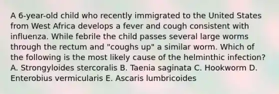 A 6-year-old child who recently immigrated to the United States from West Africa develops a fever and cough consistent with influenza. While febrile the child passes several large worms through the rectum and "coughs up" a similar worm. Which of the following is the most likely cause of the helminthic infection? A. Strongyloides stercoralis B. Taenia saginata C. Hookworm D. Enterobius vermicularis E. Ascaris lumbricoides