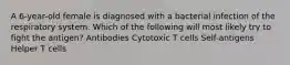 A 6-year-old female is diagnosed with a bacterial infection of the respiratory system. Which of the following will most likely try to fight the antigen? Antibodies Cytotoxic T cells Self-antigens Helper T cells