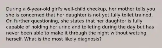 During a 6-year-old girl's well-child checkup, her mother tells you she is concerned that her daughter is not yet fully toilet trained. On further questioning, she states that her daughter is fully capable of holding her urine and toileting during the day but has never been able to make it through the night without wetting herself. What is the most likely diagnosis?