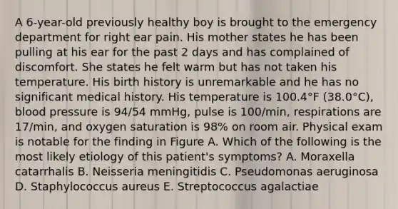 A 6-year-old previously healthy boy is brought to the emergency department for right ear pain. His mother states he has been pulling at his ear for the past 2 days and has complained of discomfort. She states he felt warm but has not taken his temperature. His birth history is unremarkable and he has no significant medical history. His temperature is 100.4°F (38.0°C), <a href='https://www.questionai.com/knowledge/kD0HacyPBr-blood-pressure' class='anchor-knowledge'>blood pressure</a> is 94/54 mmHg, pulse is 100/min, respirations are 17/min, and oxygen saturation is 98% on room air. Physical exam is notable for the finding in Figure A. Which of the following is the most likely etiology of this patient's symptoms? A. Moraxella catarrhalis B. Neisseria meningitidis C. Pseudomonas aeruginosa D. Staphylococcus aureus E. Streptococcus agalactiae