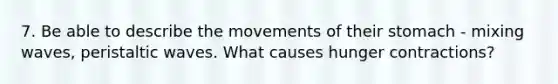 7. Be able to describe the movements of their stomach - mixing waves, peristaltic waves. What causes hunger contractions?